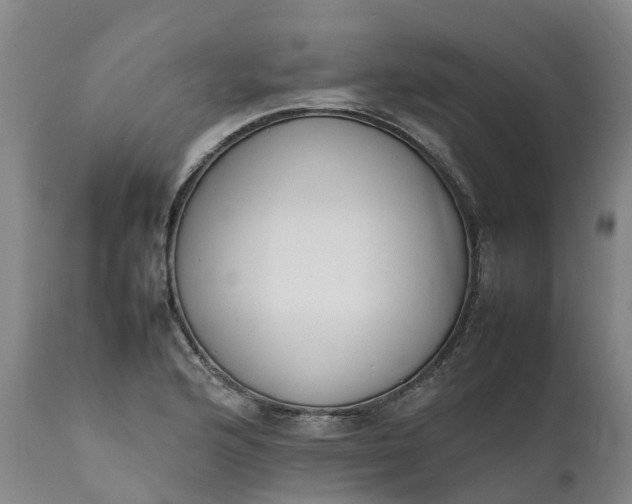 X0000111651176200907311309