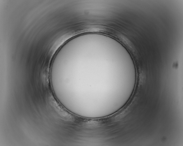 X0000111651178200907311309