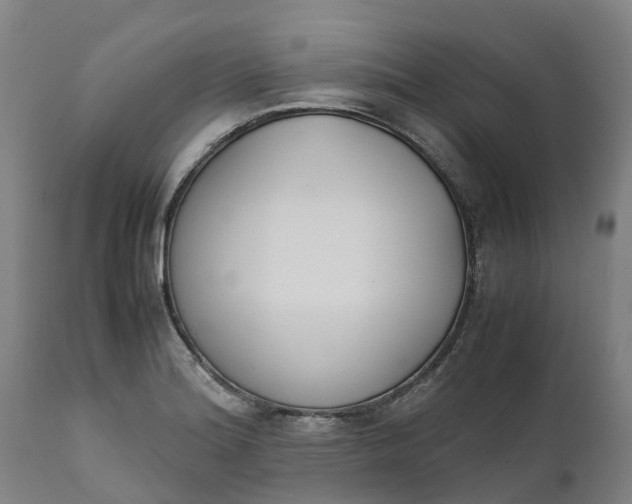 X0000111651180200907311309