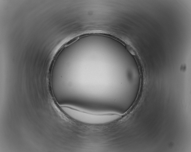 X0000111651181200907311309