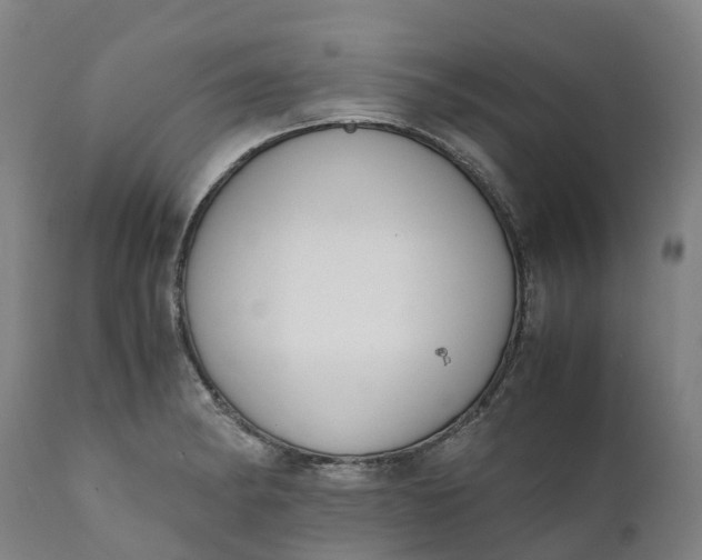 X0000111651182200907311309