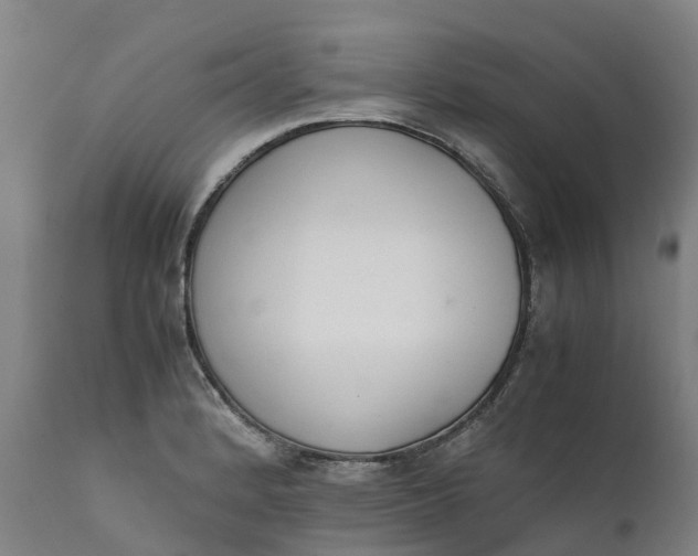 X0000111651184200907311309