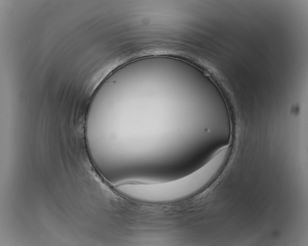 X0000111651185200907311309