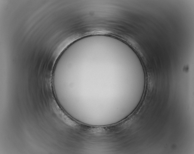 X0000111651186200907311309