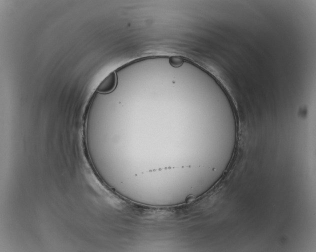 X0000111651187200907311309