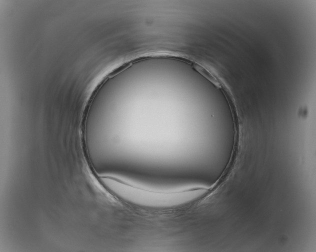 X0000111651189200907311309
