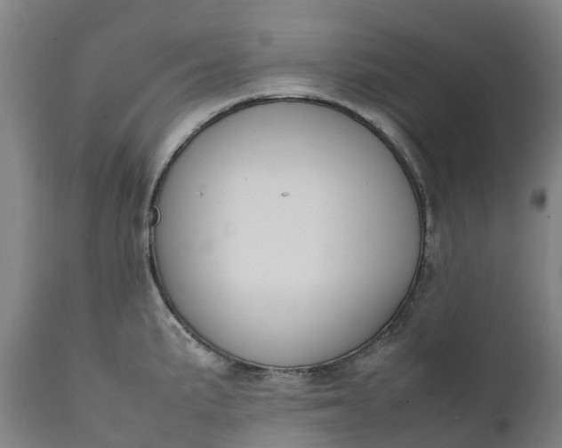X0000111651191200907311309