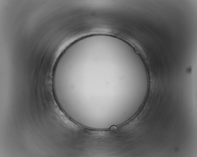 X0000111651192200907311309