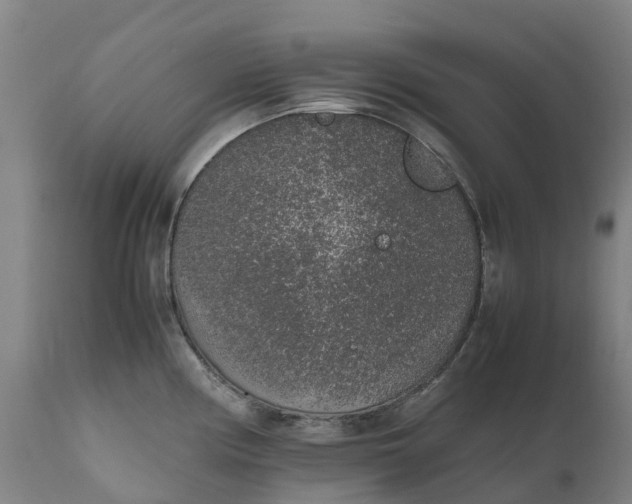 X0000111651194200907311309