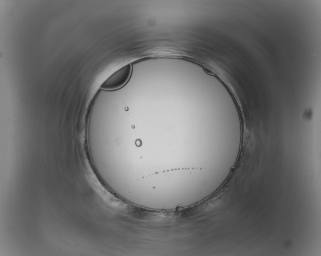 X0000111651195200907311309