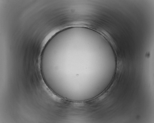 X0000111651196200907311309