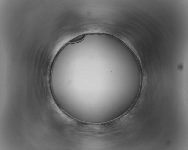 X0000111651197200907311309