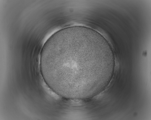 X0000111651198200907311309
