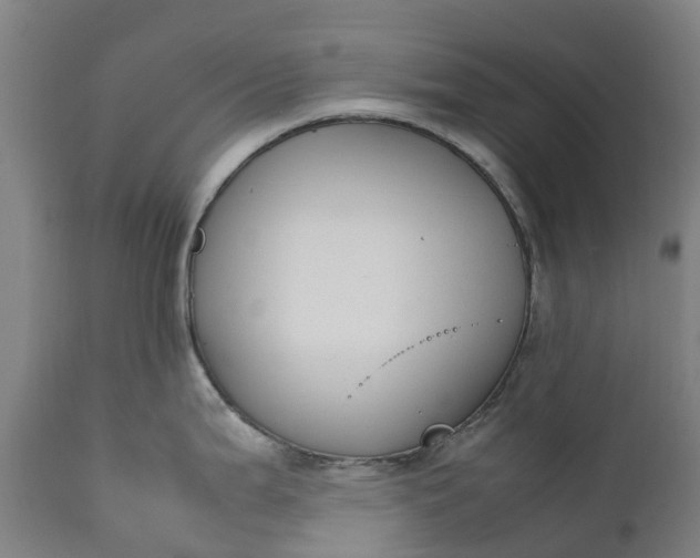 X0000111651199200907311309
