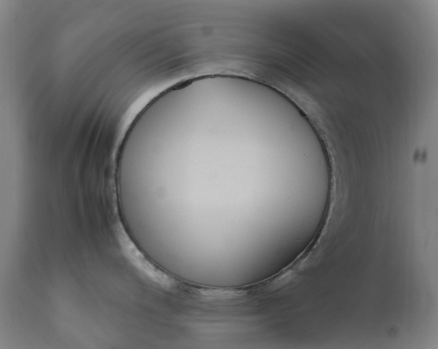 X0000111651200200907311309