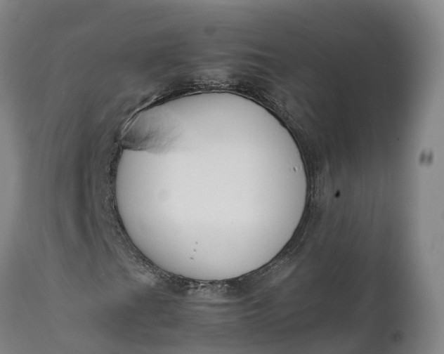 X0000111651201200907311308