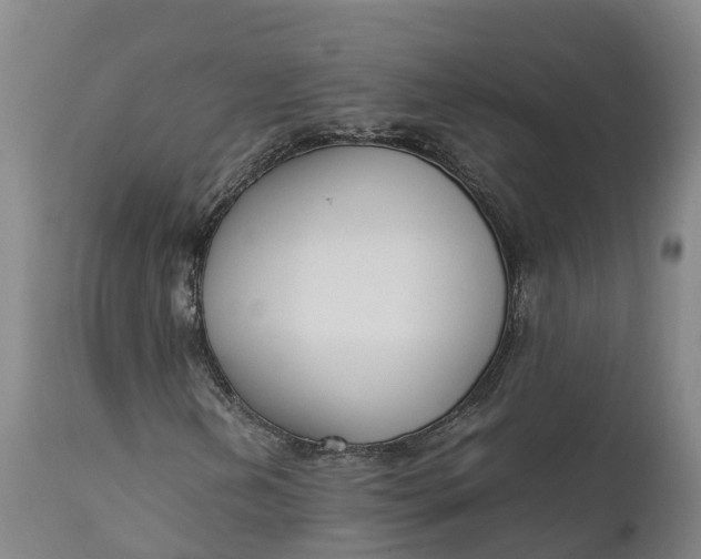 X0000111651202200907311308