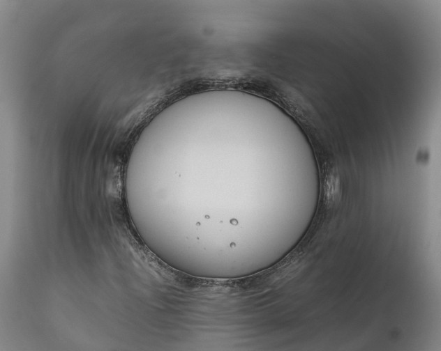 X0000111651204200907311308