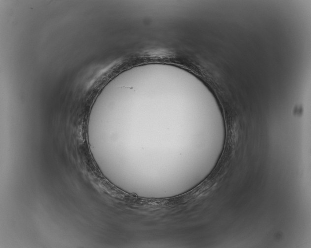 X0000111651205200907311308