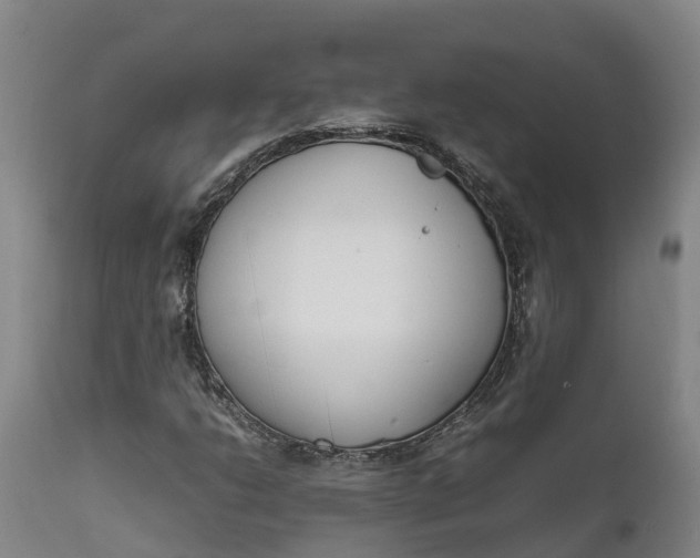 X0000111651206200907311308