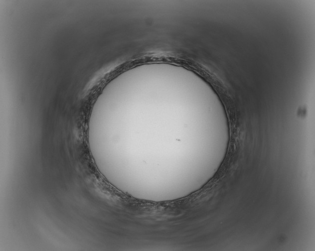 X0000111651207200907311308