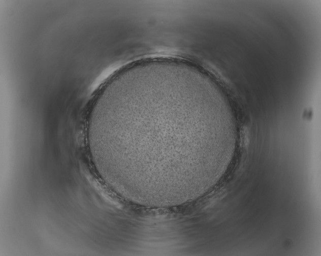 X0000111651208200907311308