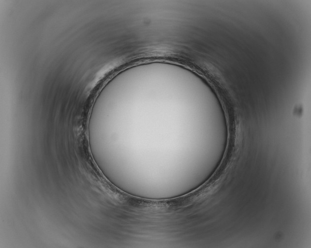 X0000111651210200907311308