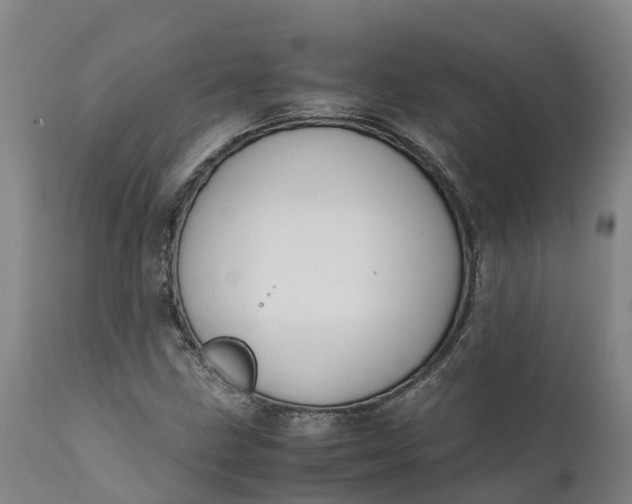 X0000111651211200907311308