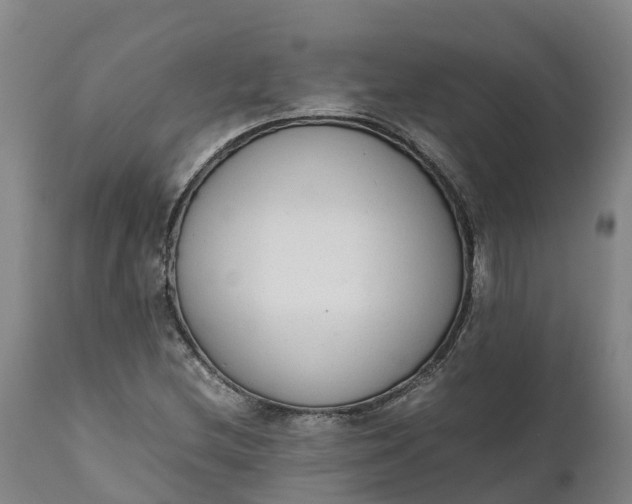 X0000111651212200907311308
