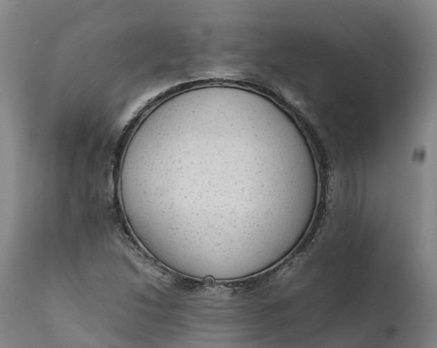 X0000111651214200907311308