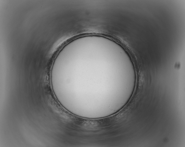 X0000111651215200907311308