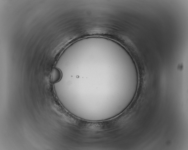 X0000111651217200907311308