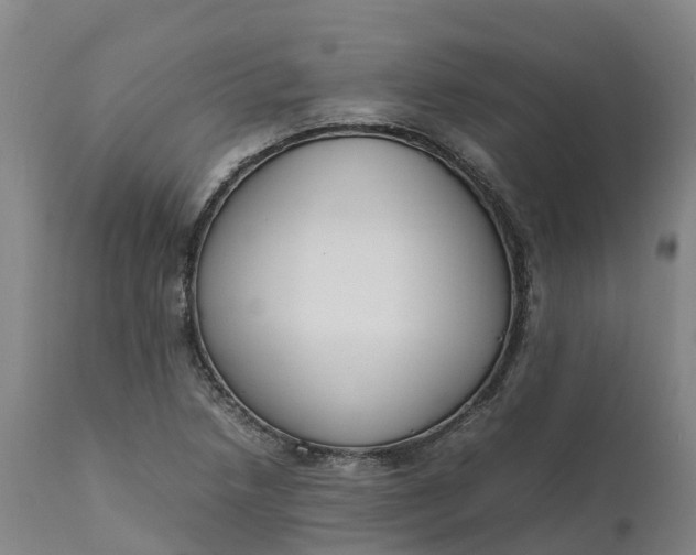 X0000111651218200907311308