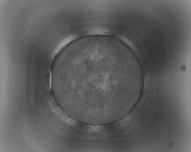 X0000111651219200907311309