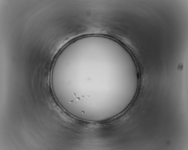 X0000111651220200907311309