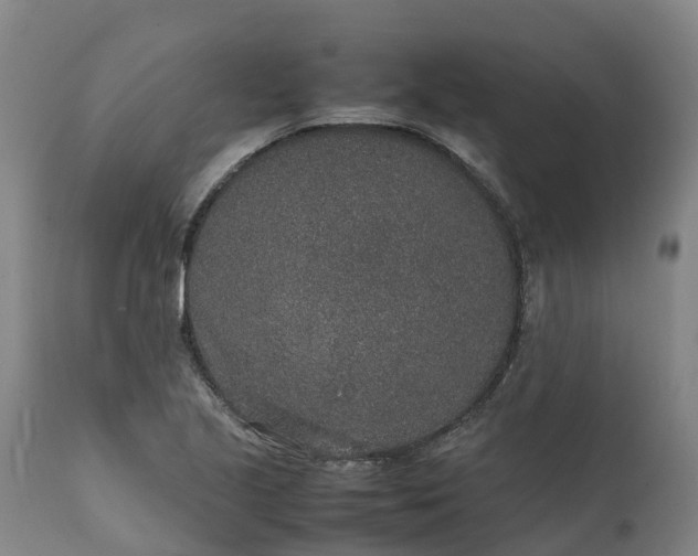 X0000111651221200907311309