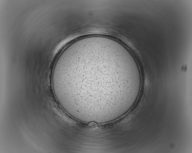X0000111651222200907311309