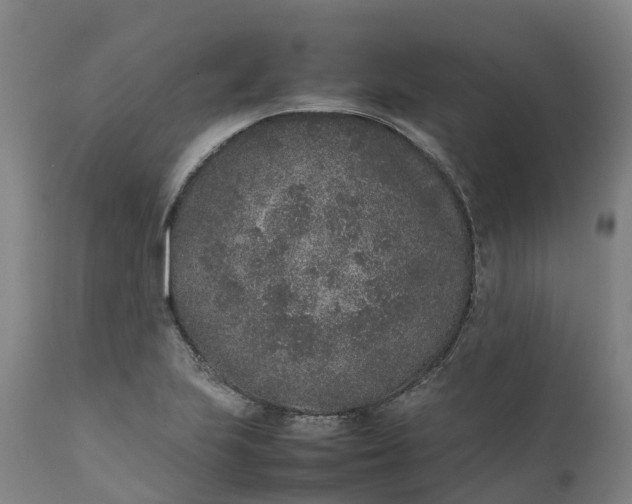 X0000111651223200907311309