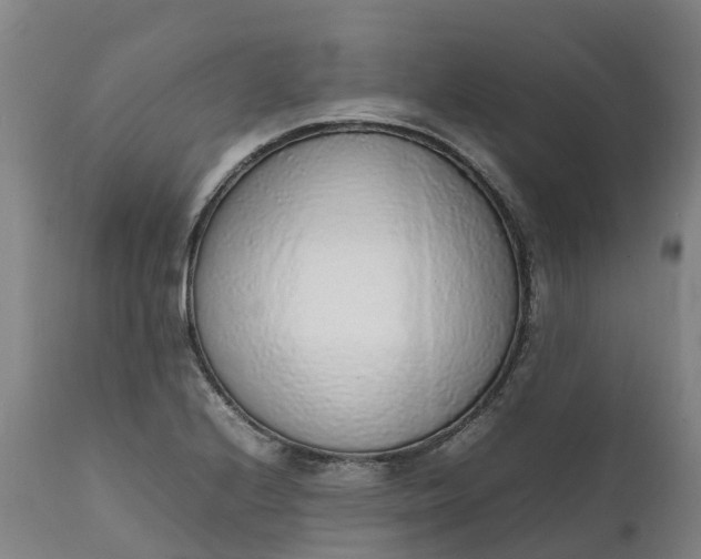 X0000111651224200907311309