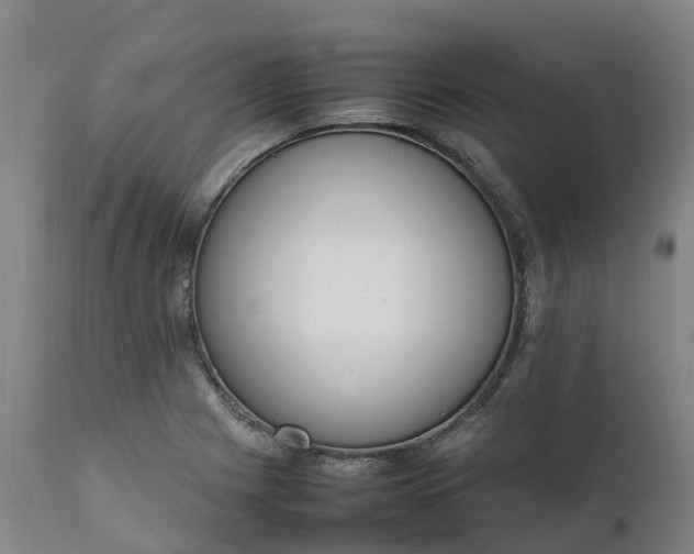 X0000111651225200907311309