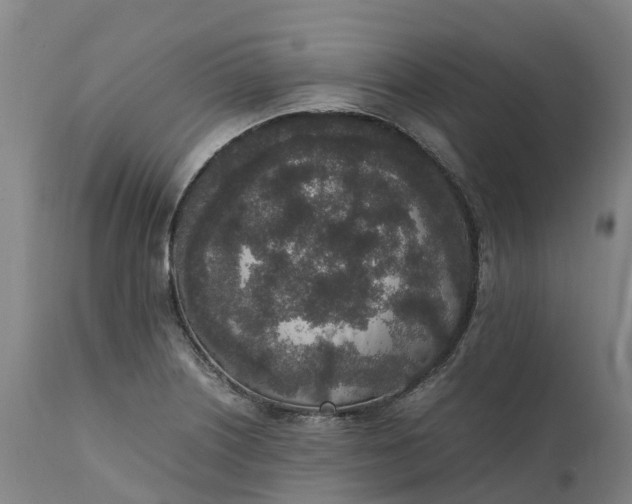 X0000111651226200907311309