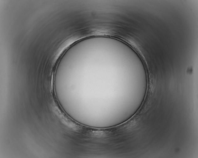 X0000111651227200907311309