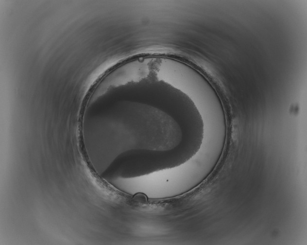 X0000111651229200907311309
