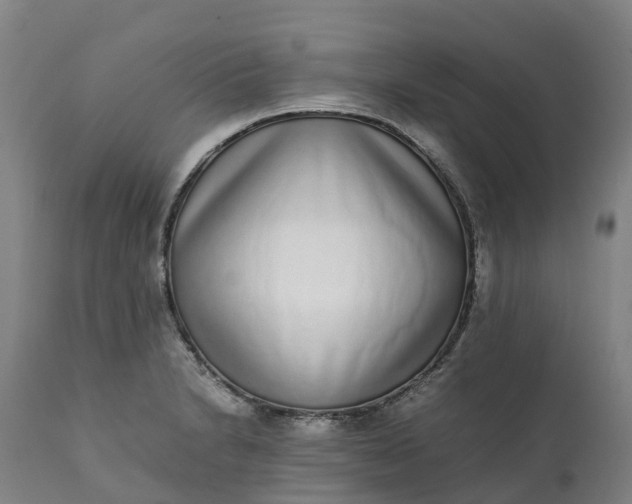 X0000111651230200907311309