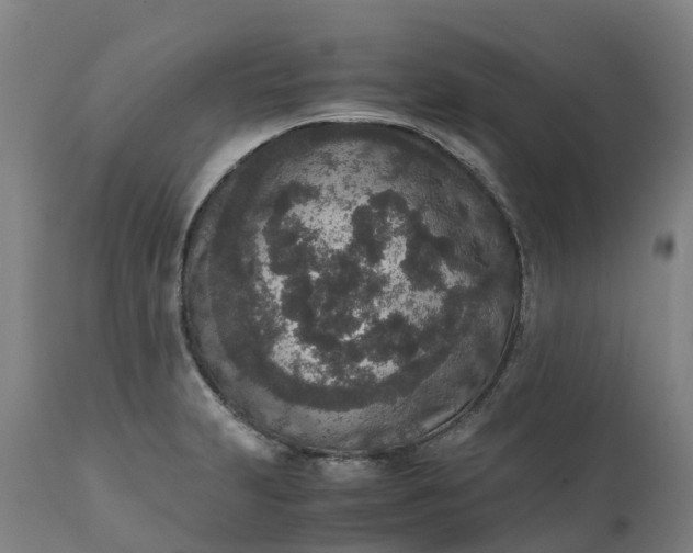 X0000111651231200907311309