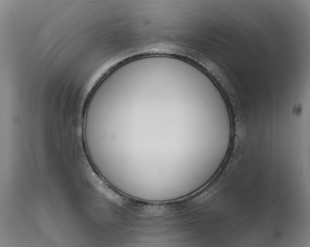 X0000111651232200907311309