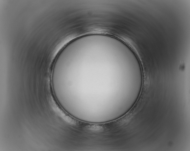 X0000111651235200907311309