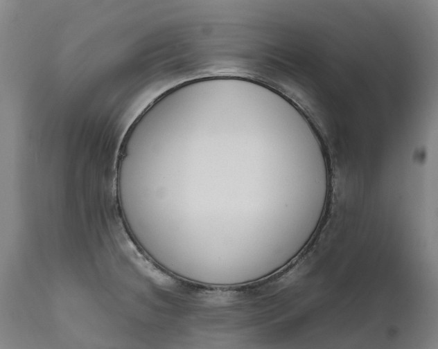 X0000111651236200907311309