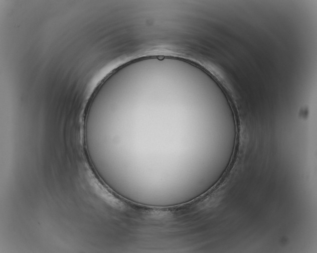 X0000111651238200907311309