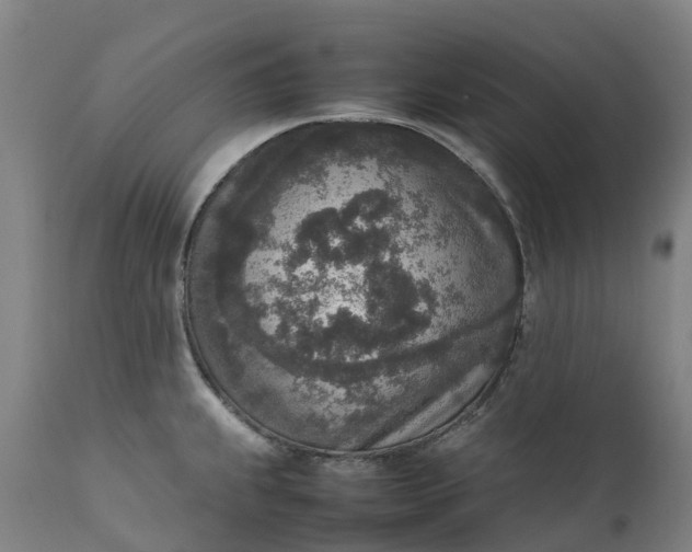 X0000111651239200907311309